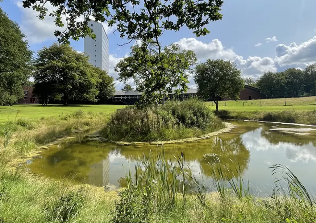 Lille ø i en sø